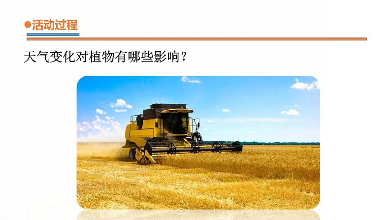 9.《天气与动植物》课件 青岛版(五四制)小学科学二下第4页