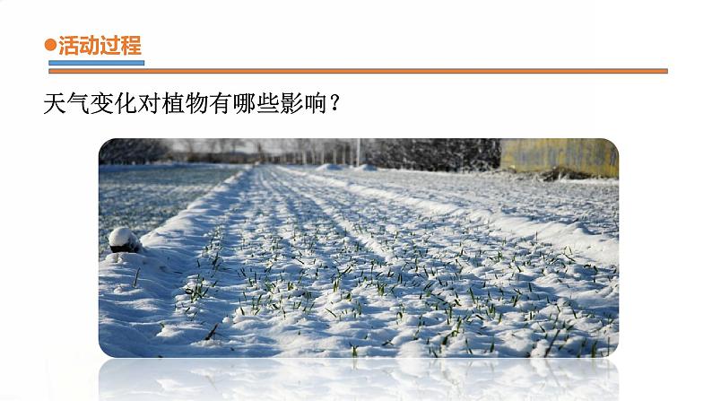 9.《天气与动植物》课件 青岛版(五四制)小学科学二下第5页