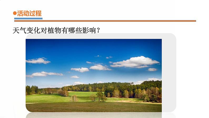 9.《天气与动植物》课件 青岛版(五四制)小学科学二下第6页