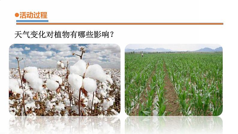 9.《天气与动植物》课件 青岛版(五四制)小学科学二下第8页