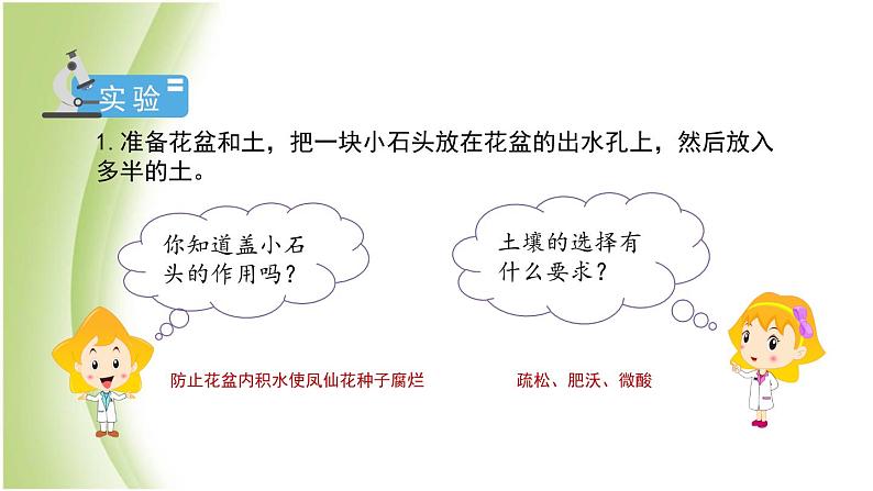 1.2《种植凤仙花》教学课件 教科版小学科学四下第5页