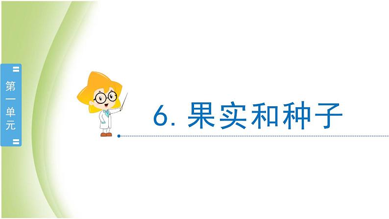 1.6《果实和种子》教学课件 教科版小学科学四下02