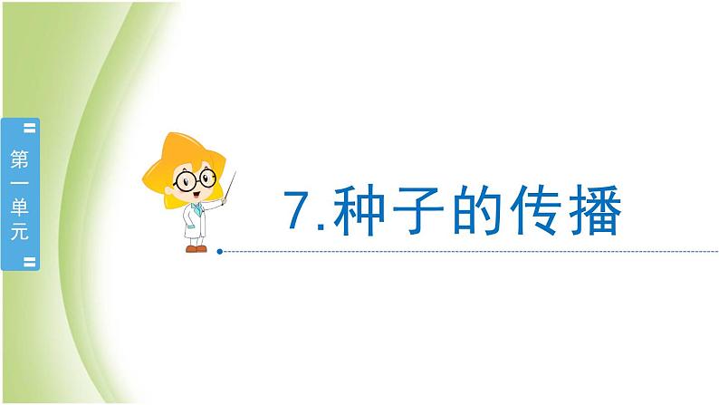 1.7《种子的传播》教学课件 教科版小学科学四下02