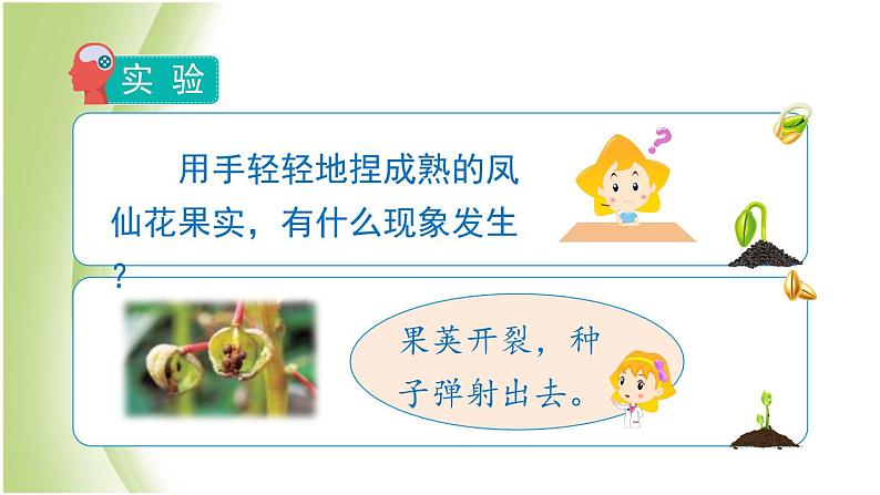 1.7《种子的传播》教学课件 教科版小学科学四下04