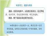 2.5《里面是怎样连接的》教学课件 教科版小学科学四下