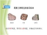 3.2《认识几种常见的岩石》教学课件 教科版小学科学四下