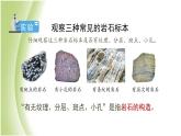 3.2《认识几种常见的岩石》教学课件 教科版小学科学四下