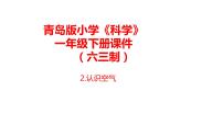 科学一年级下册第一单元 空气2 认识空气图文课件ppt