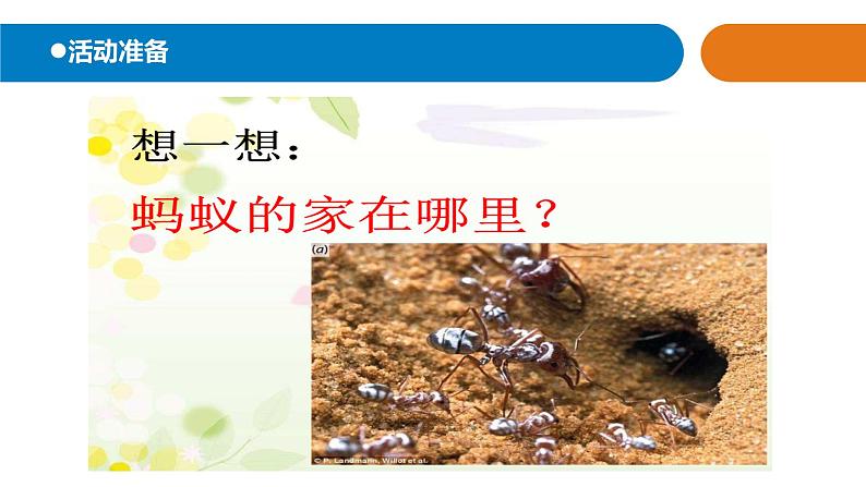 14.《土壤中的小动物》课件 青岛版(六三制)小学科学一下第3页