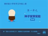 小学科学教科版五年级下册种子发芽实验PPT课件