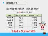 小学科学教科版五年级下册种子发芽实验PPT课件