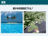 新教科版二年級(jí)上冊(cè)資料1.1地球家園中有什么課件PPT