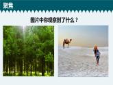 新教科版二年級(jí)上冊(cè)資料1.1地球家園中有什么課件PPT