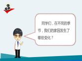 新教科版二年級上冊教學資料1.6《不同的季節(jié)》課件PPT