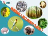 新教科版二年級(jí)上冊(cè)教學(xué)資料1.7《做大自然的孩子》課件PPT
