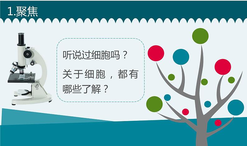新教科版6年级上册教学资料4观察洋葱表皮细胞课件PPT02