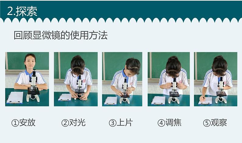 新教科版6年级上册教学资料4观察洋葱表皮细胞课件PPT05