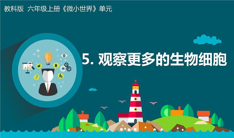 5 《观察更多的生物细胞》第1页