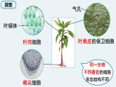 新教科版6年级上册教学资料5观察更多的生物细胞课件PPT