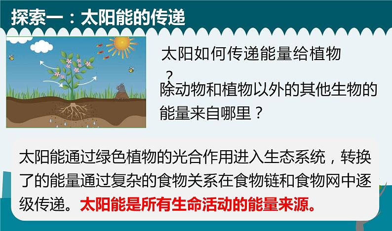 新教科版6年级上册教学资料4.7《 能量从哪里来》课件PPT05