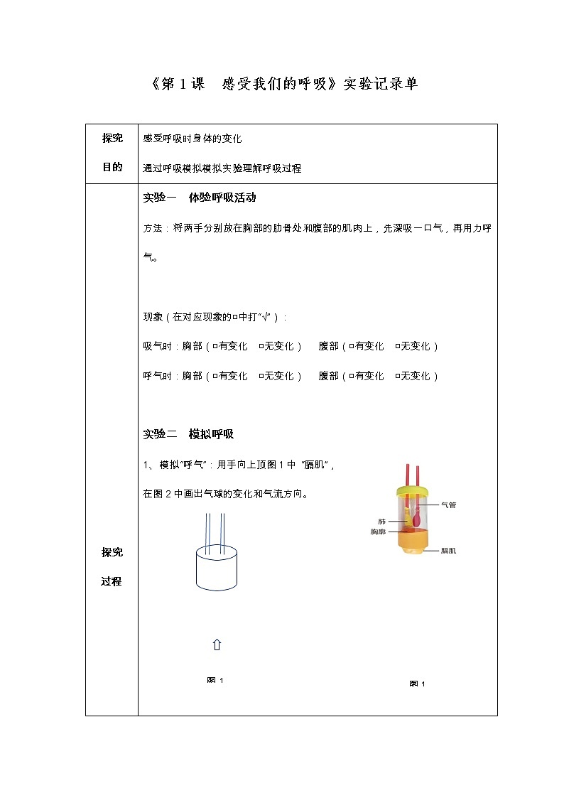 3、《感受我们的呼吸》实验记录单第1页