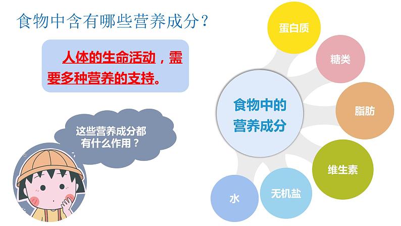 新教科版4年级上册课件+教案2.5食物中的营养04