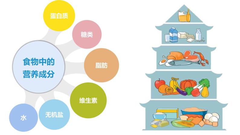 小学科学教科版2017四年级上册6营养要均衡课前预习ppt课件