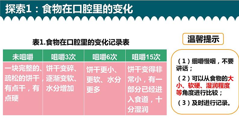 新教科版4年级上册课件+教案2.7食物在口腔里的变化03