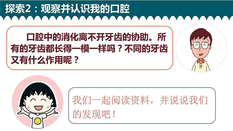 新教科版4年级上册课件+教案2.7食物在口腔里的变化06