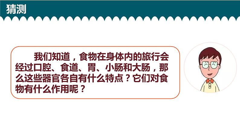 1、食物在身体里的旅行第5页