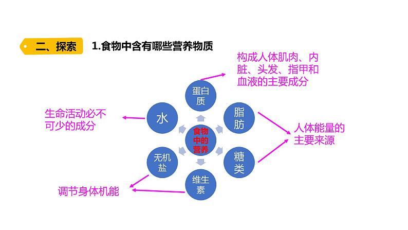 四上第二单元呼吸与消化5.《食物中的营养》课件PPT03