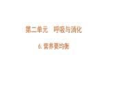 四上第二单元呼吸与消化6.《营养要均衡》课件PPT