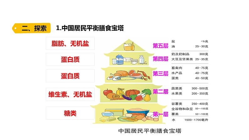 四上第二单元呼吸与消化6.《营养要均衡》课件PPT03