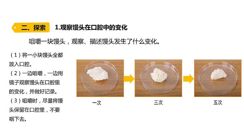 四上第二单元呼吸与消化7.《食物在口腔里的变化》课件PPT04