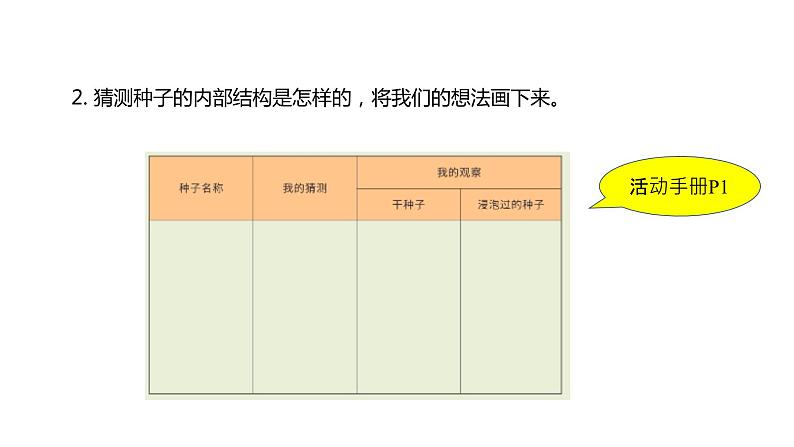 四下1-1《种子里孕育着新生命》课件PPT04