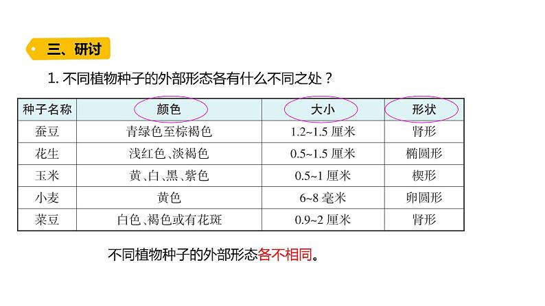 四下1-1《种子里孕育着新生命》课件PPT07