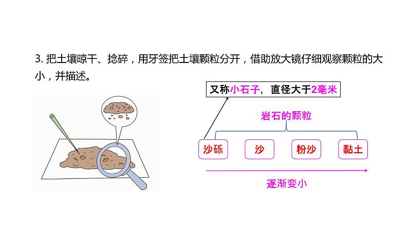 4下3-6 《观察土壤》课件PPT第4页