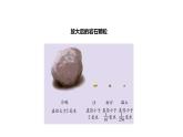 4下3-6 《观察土壤》课件PPT