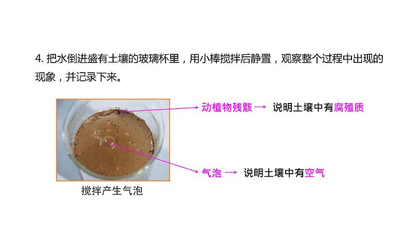 4下3-6 《观察土壤》课件PPT第6页