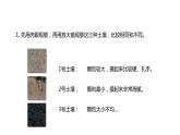 4下3-7 《比较不同的土壤》课件PPT