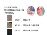 4下3-7 《比较不同的土壤》课件PPT