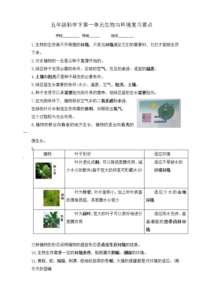 1五年级科学下第一单元生物与环境复习要点 试卷01