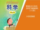14.《彩虹的秘密》教學(xué)課件