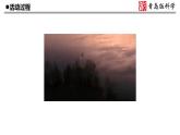 19.《材料的漂浮能力》教学课件