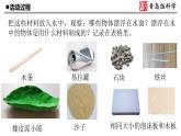 19.《材料的漂浮能力》教学课件