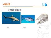 青岛版《科学》六制四年级上册2.鱼课件PPT
