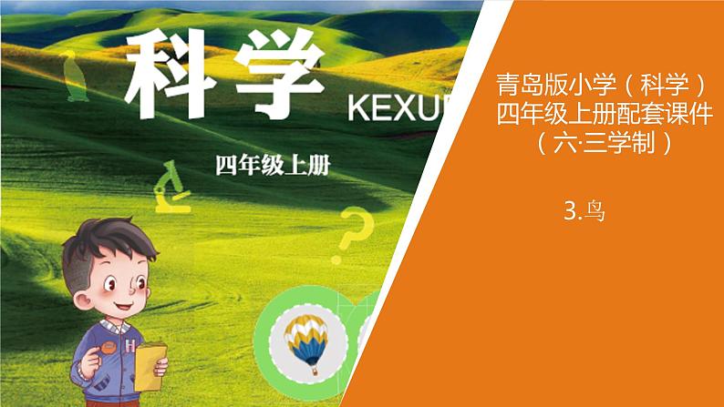青岛版《科学》六制四年级上册3.鸟课件PPT01