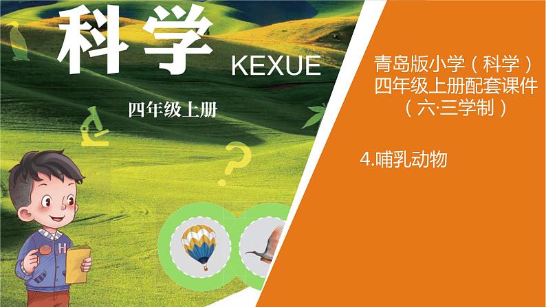 青岛版《科学》六制四年级上册4.哺乳动物课件PPT01