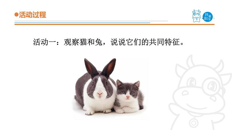 青岛版《科学》六制四年级上册4.哺乳动物课件PPT03