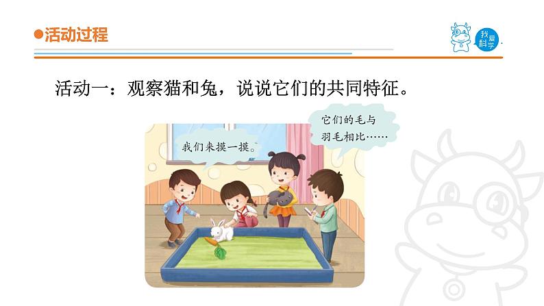 青岛版《科学》六制四年级上册4.哺乳动物课件PPT04